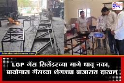 LPG Cylinder vs Biomass Gas Shegdi : गॅस सिलेंडरला पर्याय बायोमास शेगड्या, उद्योजकाने सांगितला प्लॅन
