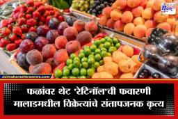Rat Poison on Fruits: मालाडमध्ये धक्कादायक प्रकार; उंदरांचे विष लावलेली फळे विकणाऱ्या दोन विक्रेत्यांना अटक, पाहा व्हिडीओ