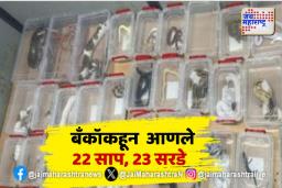 प्राण्यांची तस्करी करणाऱ्या तिघांना दिल्ली विमानतळावरुन अटक