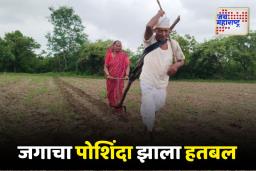 Latur; वृद्ध शेतकऱ्यानं स्वत:ला नांगराला जुंपलं