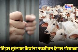 Cow Therapy in Tihar Jail : तिहार जेलमध्ये ‘काऊ थेरपी’!; एकाकी पडलेल्या कैद्यांसाठी दिल्ली सरकारचा अनोखा उपक्रम
