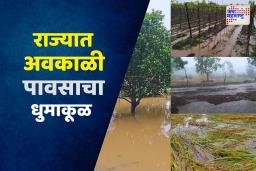 महाराष्ट्रात पुन्हा अवकाळीचा तडाखा; नाशिकसह अनेक जिल्ह्यांत शेती आणि जनजीवन कोलमडले