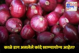 Health Tips: काळे डाग असलेले कांदे तुमच्या आरोग्यासाठी सुरक्षित आहेत का?, जाणून घ्या