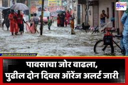 Heavy Rain IMD Alert : मुसळधार पावसाचा हाहाकार! गेल्या 24 तासांत 7 जणांचा मृत्यू; IMD चा नागरिकांना सतर्कतेचा इशारा