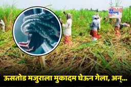 Chhatrapati Sambhajinagar : धक्कादायक! पाच लाख उचल वसूल करण्यासाठी ऊसतोड मजुराचं अपहरण; मुकादमासह तिघांवर गुन्हा दाखल
