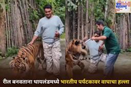 रील बनवताना थायलंडमध्ये भारतीय पर्यटकावर वाघाचा हल्ला; नेमकं काय घडलं? पहा