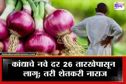 New Onion rates: कांदा उत्पादकांसाठी सरकारचा मोठा निर्णय! कांद्याच्या दरात 345 रुपयांची वाढ; मात्र शेतकऱ्यांमध्ये संतापाची लाट