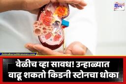 Kidney Stone: मीठ, मांसाहार आणि उन्हाळा; किडनी स्टोनसाठी ‘हे’ समीकरण ठरतंय कारणीभूत, कसं? वाचा सविस्तर