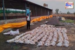 वर्ध्यात उष्माघाताचा फटका, पोल्ट्री फार्ममध्ये तब्बल 1200 कोंबड्यांचा मृत्यू