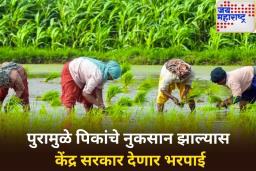 शेतकऱ्यांसाठी दिलासादायक बातमी! पुरामुळे पिकांचे नुकसान झाल्यास केंद्र सरकार देणार भरपाई