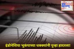 Earthquake In Indonesia: इंडोनेशियाच्या पापुआ प्रांतात 6.7 तीव्रतेचा भूकंप; कोणतीही जीवितहानी नाही