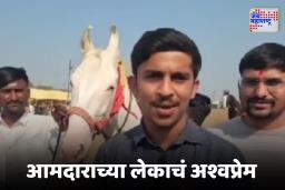 आमदाराच्या लेकाचा थाटच न्यारा! तब्बल इतक्या लाखांची घोडी केली खरेदी