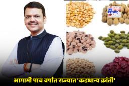 Maharashtra Government: महाराष्ट्रात ‘कडधान्य आत्मनिर्भरता अभियान’ला हिरवा कंदील; देवेंद्र फडणवीस सरकारचा महत्वाकांक्षी निर्णय