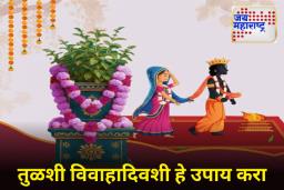 Tulsi Vivah 2025 : विवाह लवकर जुळण्यासाठी तुळशी विवाहादिवशी करा ‘हे’ सोपे उपाय; वैवाहिक जीवनातील अडचणीही होतील दूर!