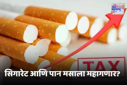 Tobacco Products Excise Duty : सिगरेटप्रेमींचा खिसा गरम होणार !  तंबाखू, पानमसाल्याच्या किंमतीही वाढण्याची शक्यता
