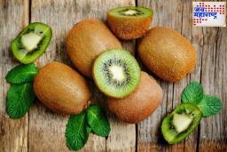 Cancer fighting fruit : ‘हे’ आहेत किवी खाण्याचे फायदे; कॅन्सरचा धोकाही कमी होतो!