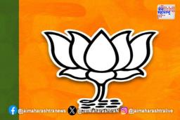 भाजपची शुक्रवारी दिल्लीत पुन्हा बैठक