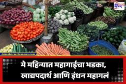 WPI Inflation: सर्वसामान्यांना महागाईचा तीव्र झटका; मे महिन्यात घाऊक महागाईचा दर 9.68 टक्क्यांवर; खाद्यपदार्थ आणि इंधन महागलं
