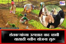 Pashudhan Udyojak Yojana: राज्य सरकारची शेतकऱ्यांसाठी मोठी घोषणा! आता मिळणार 30 लाख रूपये, पण अटी लागू…