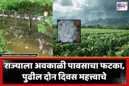 Maharashtra Weather Update: पुढील 48 तास महाराष्ट्रासाठी सतर्कतेचे; विदर्भ-मराठवाड्यात गारपिटीचा इशारा, तर मुंबईतही पावसाची हजेरी
