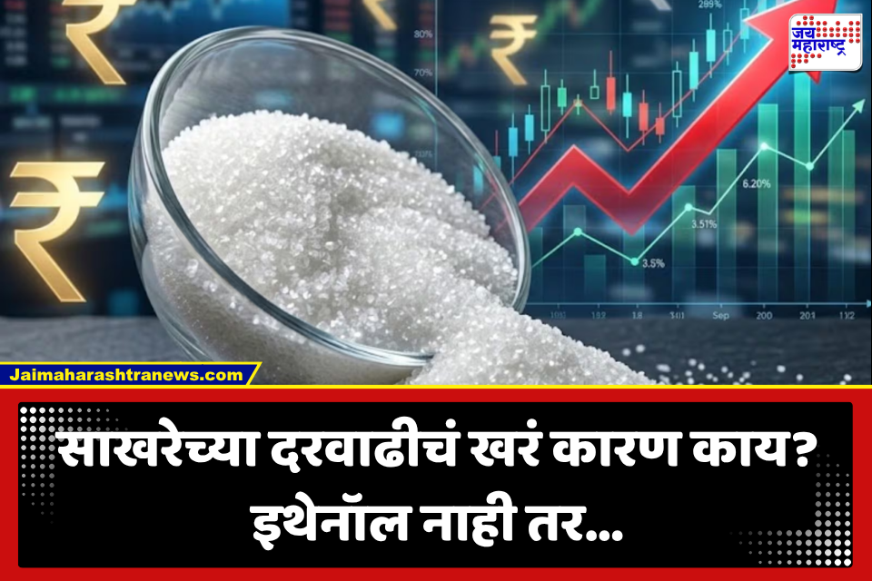 Sugar Price Hike: साखर महागण्यामागे इथेनॉल नाही तर ‘हे’ कारण? केंद्र सरकारचं मोठं स्पष्टीकरण; साठेबाजीवर निर्बंध