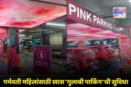 Pink Parking For Pregnant Women : गर्भवती महिलांसाठी खास गुलाबी पार्किंग; ‘या’ शहरातील मॉलचा हटके उपक्रम