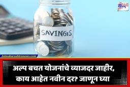 Small Savings Scheme: मध्यमवर्गीय आणि ज्येष्ठ नागरिकांना मोठा दिलासा; PPF सह अल्प बचत योजनांचे व्याजदर जाहीर