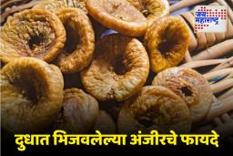 Health Tips: अंजीर दुधात भिजवल्याने ‘हे’ फायदे मिळतील, जाणून घ्या