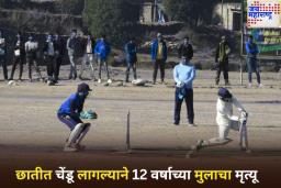 क्रिकेट खेळताना छातीवर लागला चेंडू; 12 वर्षांच्या मुलाचा मृत्यू