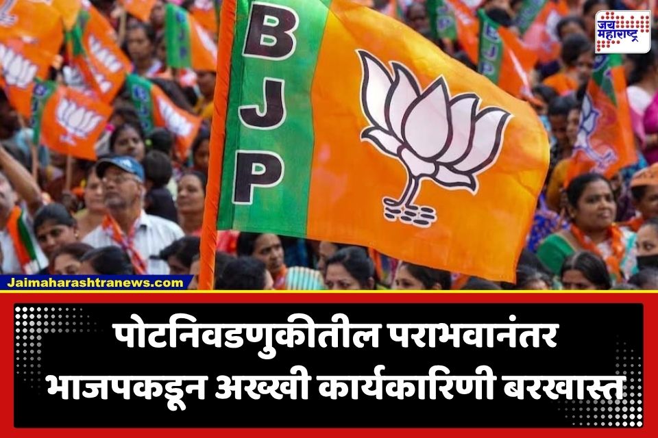Bypoll Election: पोटनिवडणुकीतील पराभवानंतर भाजपची संपूर्ण जिल्हा कार्यकारिणी बरखास्त; नेमकं काय घडलं?