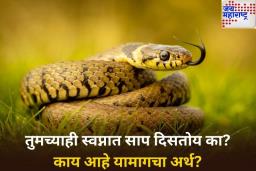 श्रावण महिन्यात प्रत्यक्षात किंवा स्वप्नात साप दिसल्यास त्याचा काय अर्थ होतो? जाणून घ्या