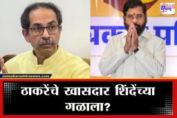 Shivsena Operation Tiger : राज्यात ऑपरेशन टायगर पुन्हा सक्रिय? ठाकरेंचे खासदार शिवसेनेच्या डिनर डिप्लोमसीला