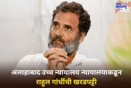 ‘अभिव्यक्ती स्वातंत्र्य म्हणजे सैन्याचा अपमान करणं नाही’; न्यायालयाकडून राहुल गांधींची खरडपट्टी