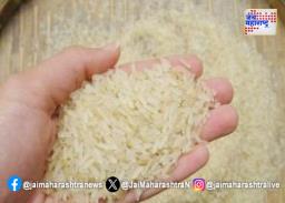 उकडा, तपकिरी तांदळास निर्यात शुल्कातून पूर्ण सूट