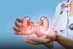 Health Tips: ‘या’ सात सवयी किडनीला हानी पोहोचवू शकतात, जाणून घ्या…  