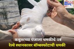 Pigeon Carrying Bomb Threat Note: सीमावर्ती भागात कबुतरासह धमकीचे पत्र जप्त; सुरक्षा यंत्रणा सतर्क
