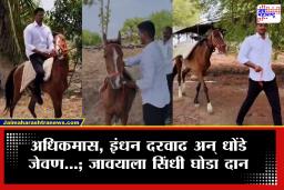 Dharashiv Dhonde Jevan Gift Viral : अधिकमास, इंधन दरवाढ अन् धोंडे जेवण…; सासऱ्याकडून जावयाला सिंधी घोडीची अनोखी भेट