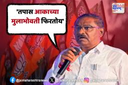 महादेव मुंडेंच्या हत्या प्रकरणात धस यांचा मोठा खळबळजनक दावा