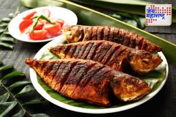 Seafood Benefits: जादुई मासा! ‘हा’ मासा रोज आहारात घ्या आणि गंभीर आजार टाळा