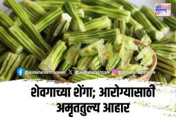 शेवगाच्या शेंगा खाण्याचे ‘हे’ आहेत फायदे