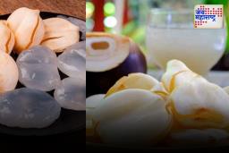 Palm Fruit Benefit: उन्हाळ्यात थंडावे देणार फळ नक्की ट्राय करा, काय आहेत फायदे जाणून घ्या