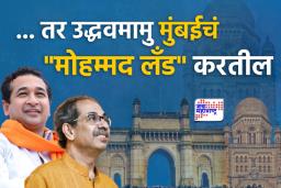 ‘उद्धवमामु सत्तेत आले तर मुंबईचं &quotमोहम्मद लँड&quot करतील’; उद्धव ठाकरेंच्या आरोपांवर नितेश राणेंचा पलटवार