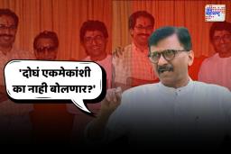Sanjay Raut : ठाकरे बंधुंच्या भूमिकेचं संजय राऊतांकडून समर्थन