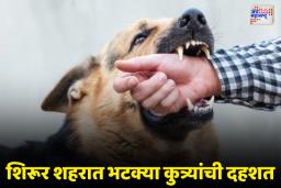 मोकाट कुत्र्यांचा 6 वर्षीय चिमुकल्यावर हल्ला; जखमी मुलावर खाजगी रूग्नालयात उपचार सुरू