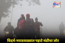 Cyclonic Wind Situation: कडाक्याची थंडी आणि दाट धुके; उत्तर भारतात रेड अलर्ट, महाराष्ट्राच्या सीमावर्ती भागात गारठा वाढणार
