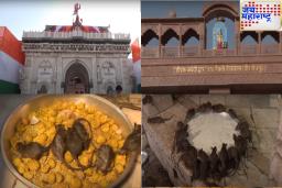 पंतप्रधान मोदींनी भेट दिलेले बिकानेरमधील करणी माता मंदिर खास का आहे? काय आहे इतिहास?