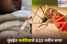 मुंबईत मलेरियाचे 633 नवीन रुग्ण; डेंग्यूच्या रुग्णातही वाढ