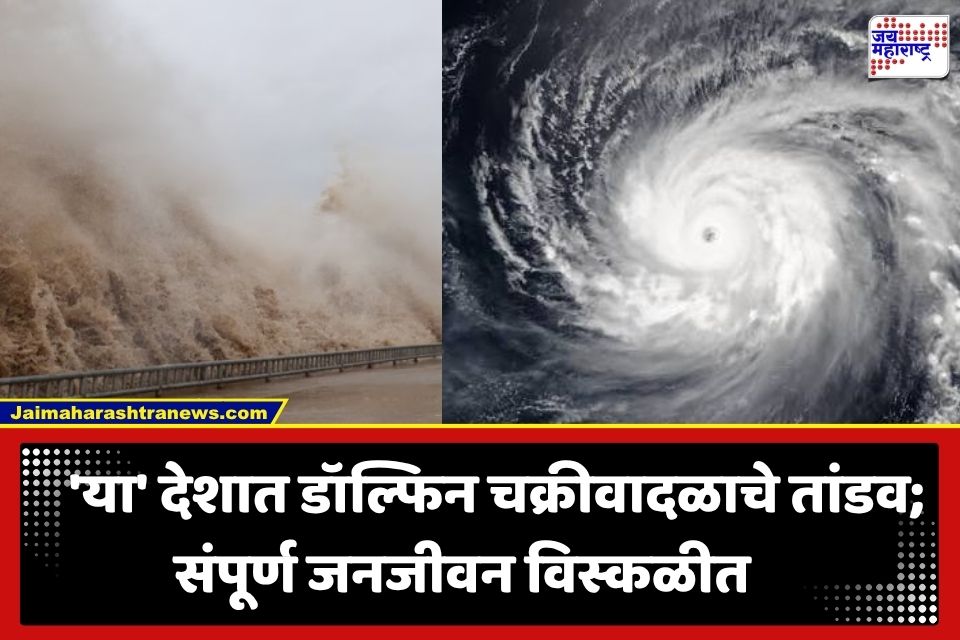 Typhoon Dolphin : 1000 हून अधिक उड्डाणे रद्द, 4 लाख नागरिकांचे स्थलांतर… ‘या’ देशाला डॉल्फिन’ चक्रीवादळाचा तडाखा