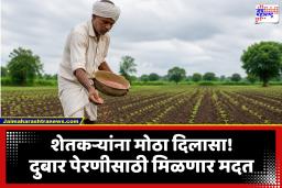 Maharashtra Agriculture  News : दुबार पेरणीच्या संकटात शेतकऱ्यांना मोठा दिलासा; डीपीडीसी निधीतून मिळणार बियाण्यांची मदत