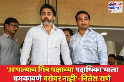 राणे बंधूंमध्ये नव्या वादाची ठिणगी; सोशल मीडियावर ‘तो’ स्क्रीनशॉट शेअर करत म्हणाले…